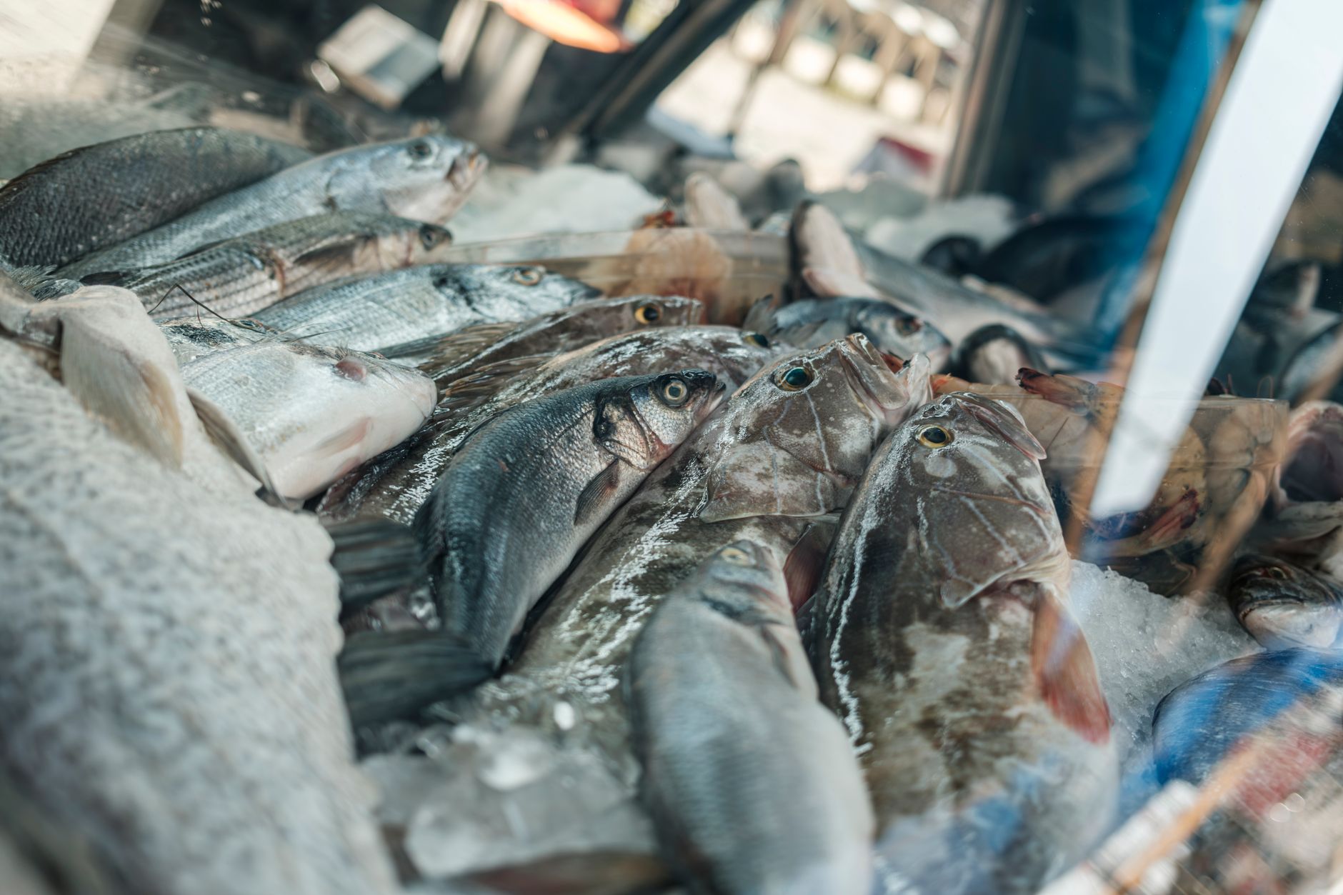 Fresh fish displayed on ice at a seafood market stall