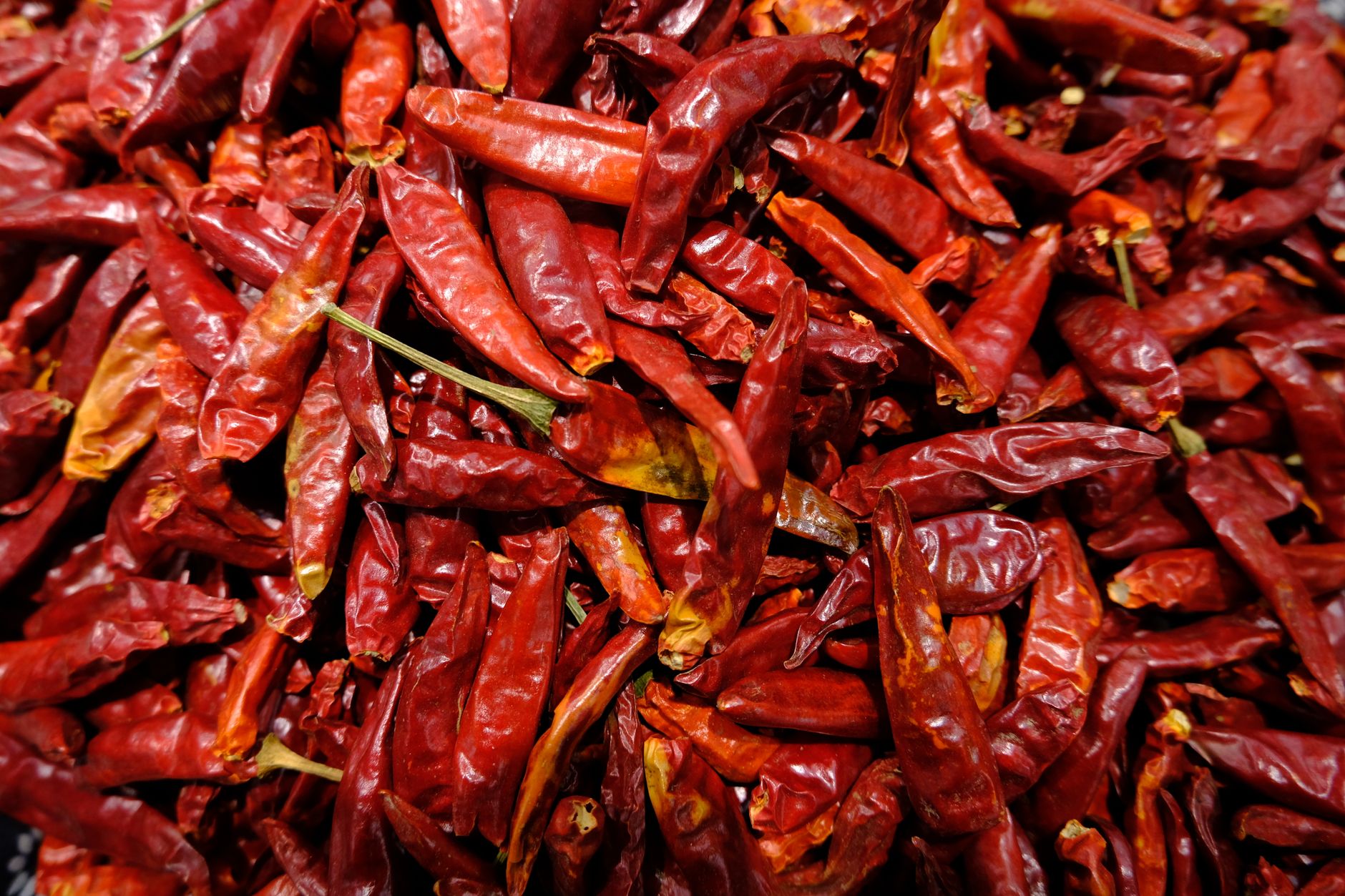 Close-up of dried red chili peppers used heavily in Sichuan cooking
