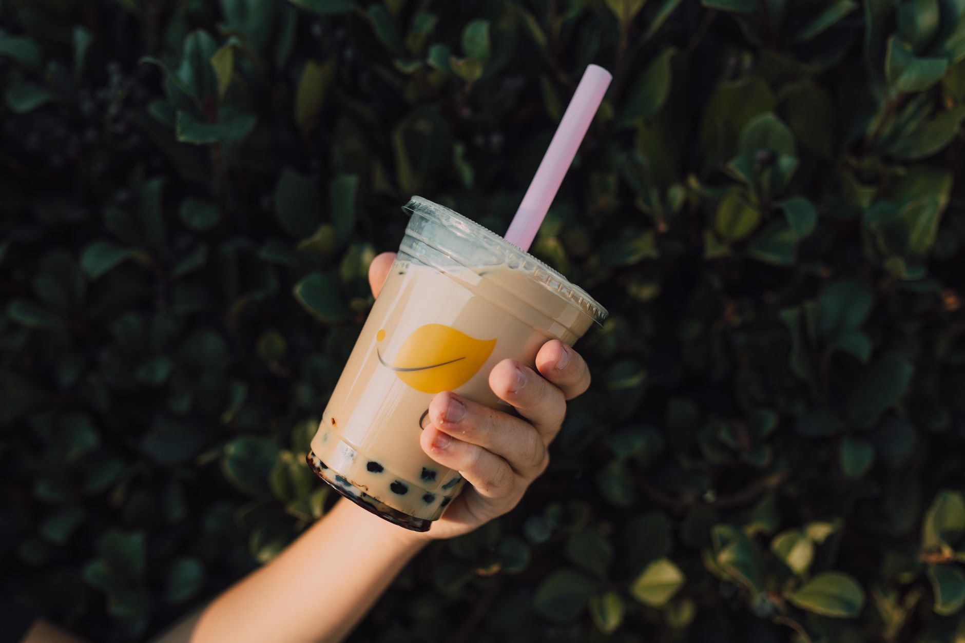 Hand holding a refreshing milk tea with boba pearls outdoors